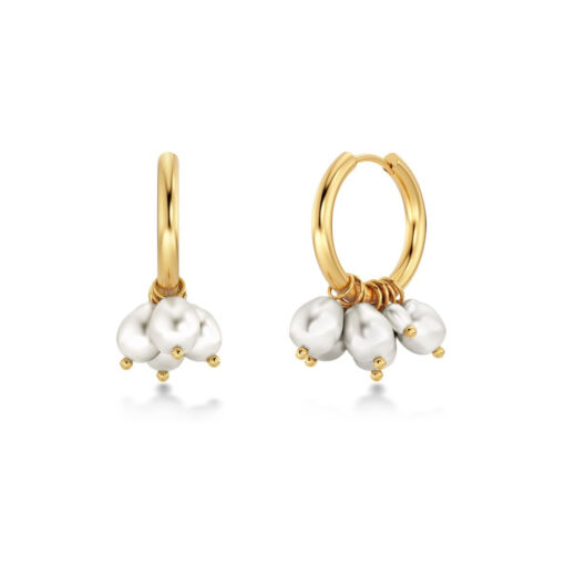 Edblad Pearl Signet Hoops Gold Earrings